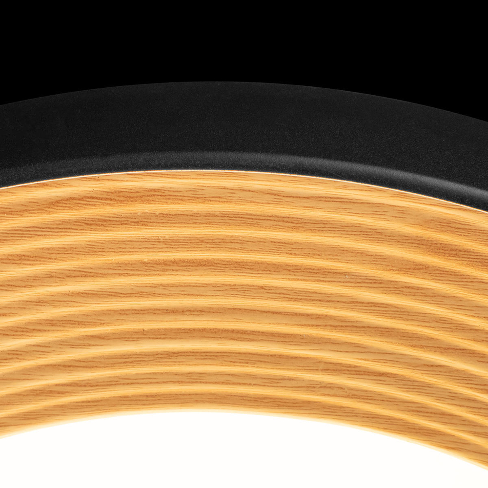 10255/500 Black Потолочный светильник LOFT IT Folk