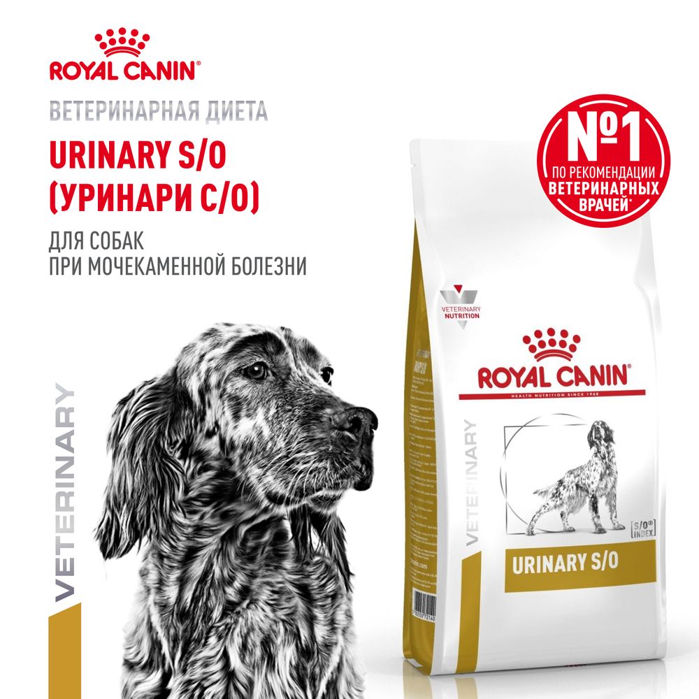 Сухой корм Royal Canin Urinary S/O для взрослых собак при мочекаменной болезни