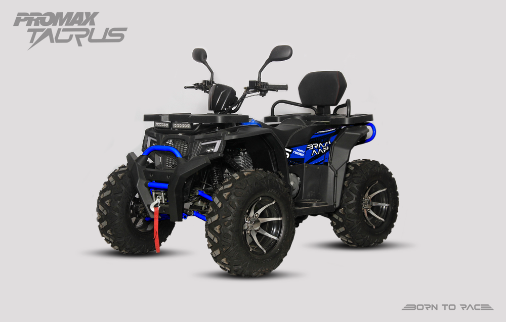 Квадроцикл PROMAX TAURUS 300 MAX-PRO LONG