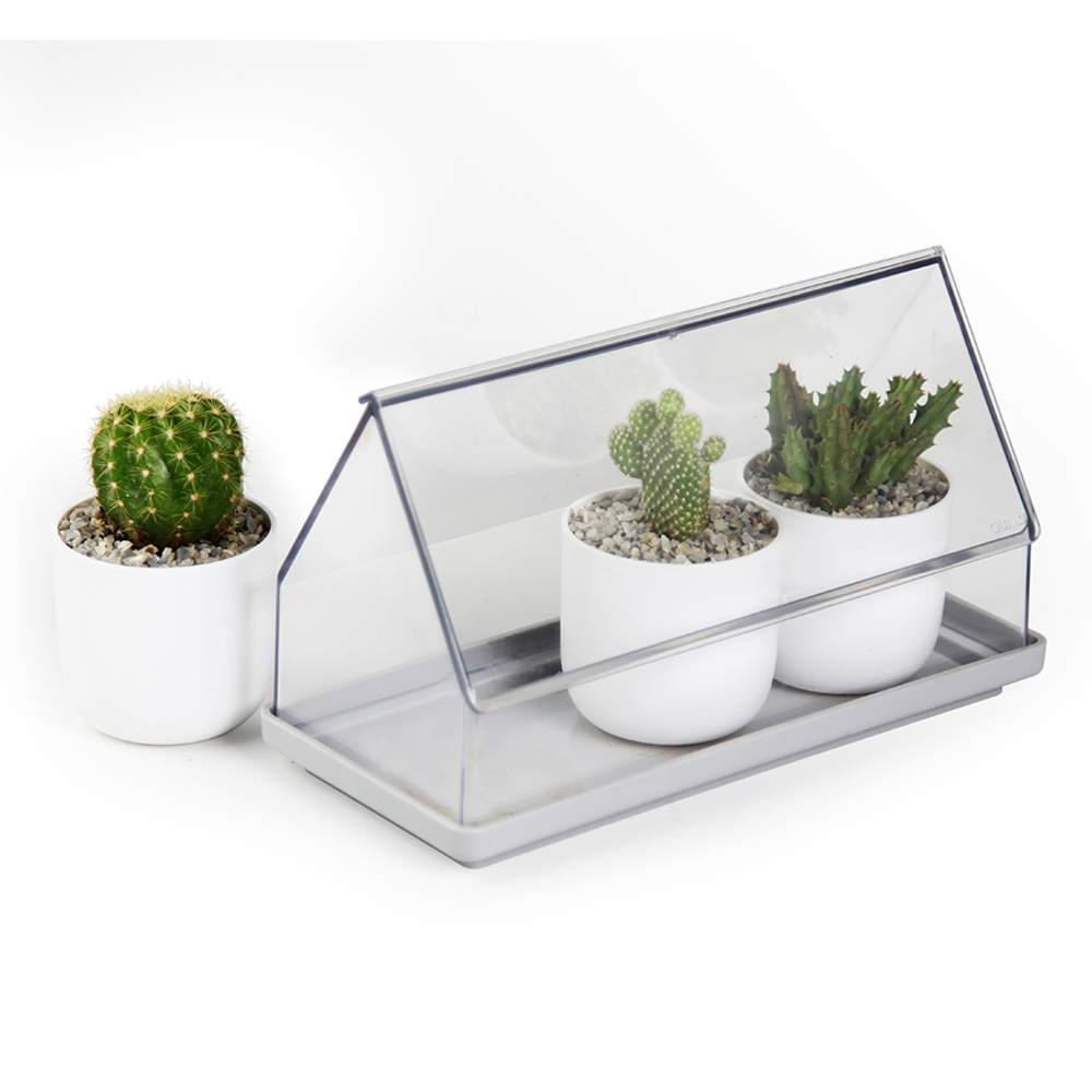 Лоток для выращивания растений micro green house, прозрачный