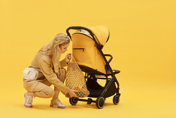 Детская прогулочная коляска Anex AIR-X Ax-04/L yellow