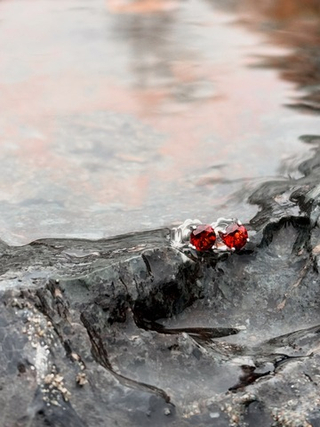 Серьги Crystal Circle с гранатом