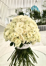 141 Белая Роза