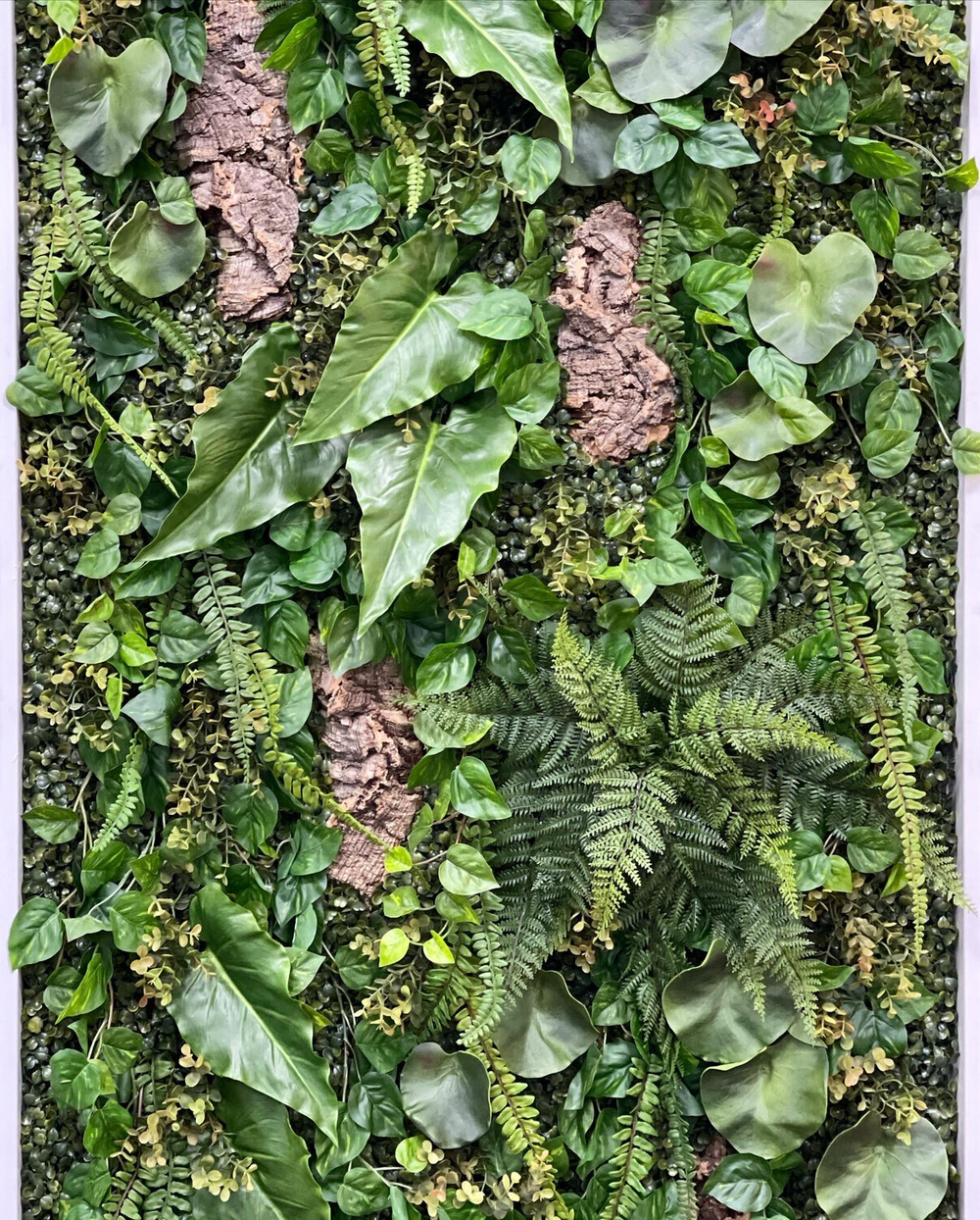 Антуриум куст 75 см.