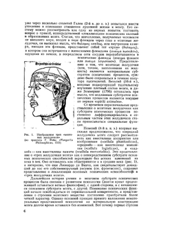 Высшие корковые функции человека. и их нарушения при локальных поражениях мозга | А.Р. Лурия