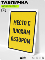 Табличка для парковки "Место с плохим обзором", для дома, офиса, организаций, 40х30 см, Silver Plane x Айдентика Технолоджи