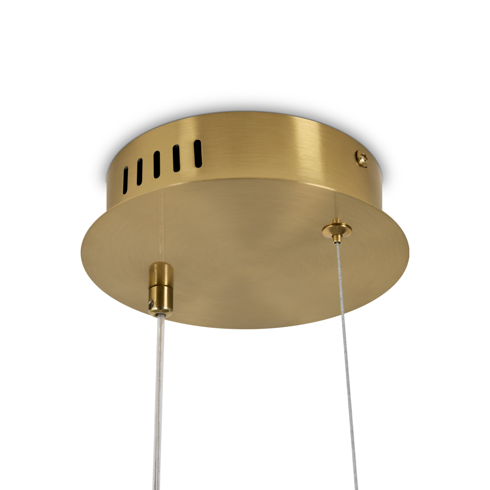 Подвесной светодиодный светильник Freya ECLAT FR6182PL-L14BS