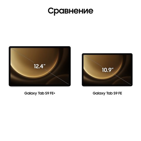 Планшет Samsung Galaxy Tab S9 FE+ LTE 256 Гб серебро