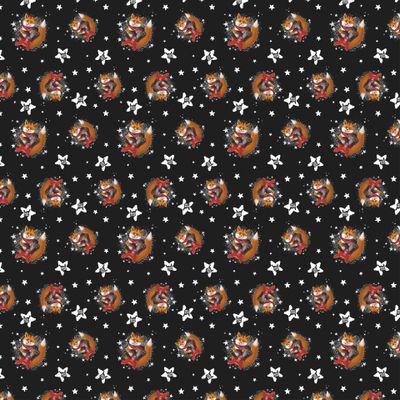 Рок Лис с электрогитарой на черном фоне со звёздами