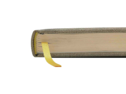 Ежедневник Lediberg FLASH Серый