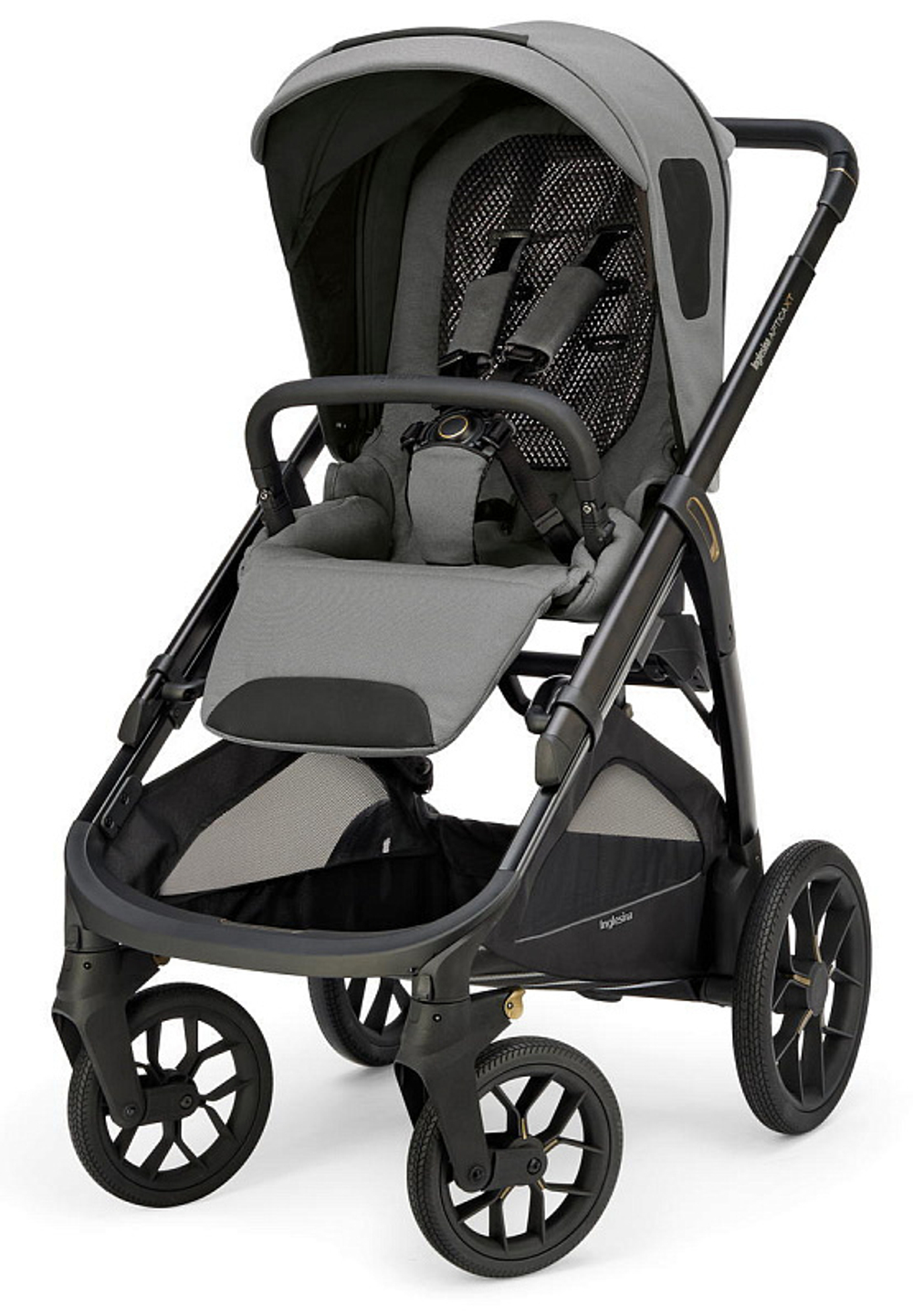Прогулочная коляска Inglesina Aptica XT 2025 Canyon Grey