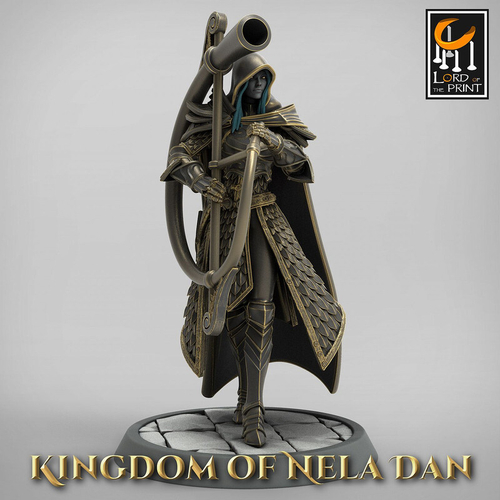 Эльф Полуэльфы Темные эльфы Дроу Воин Паладин Варвар Файтер Рыцарь миниатюра для dnd, днд, pathfinder, фентези, Настольная игра, НРИ, Варгейм, РПГ