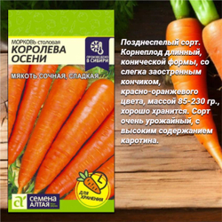 Лучшие сорта моркови для Вашего сада