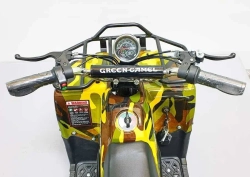 Электроквадроцикл Green Camel Гоби K40 (36V 800W R6 Цепь) быстросъем