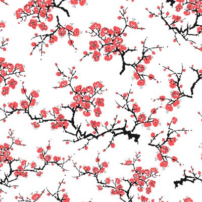 Цветущая сакура. Японская вишня