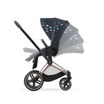 Cybex Priam IV Jewels Of Nature (2 в 1)