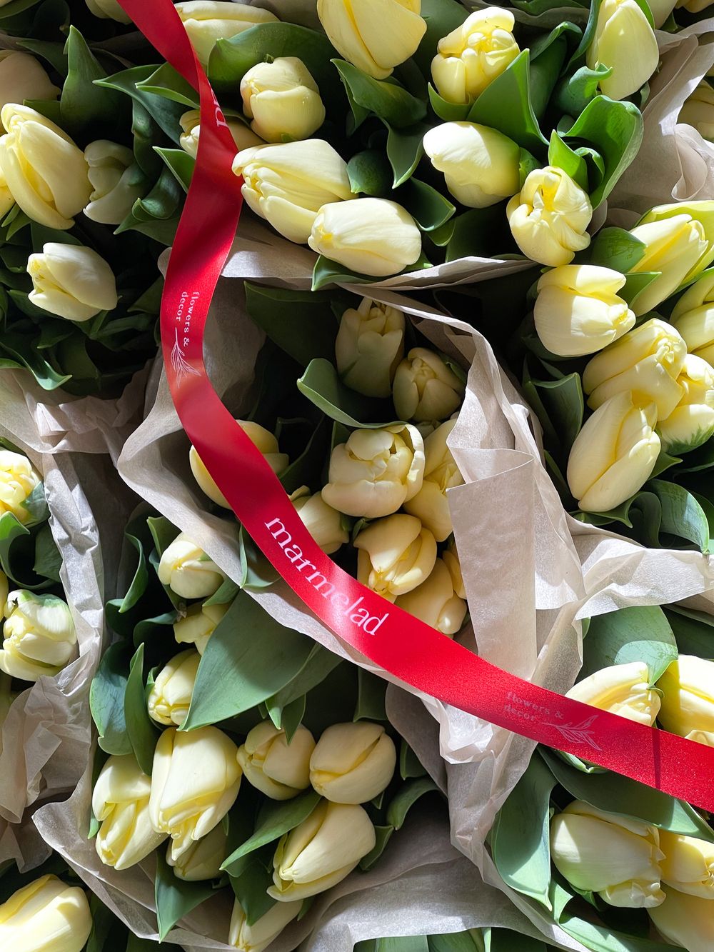 Тюльпаны классика - лимонный цвет