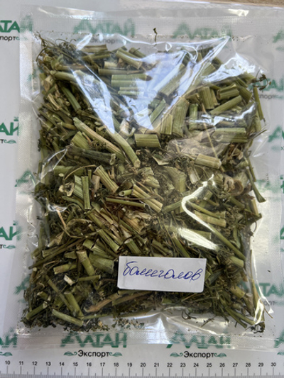 Болиголов (Омег пятнистый)  100 гр