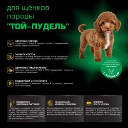 Корм сухой для щенков породы Той-пудель, премиум полнорационный комплекс, с ягненком, 800 гр, QUATTRO