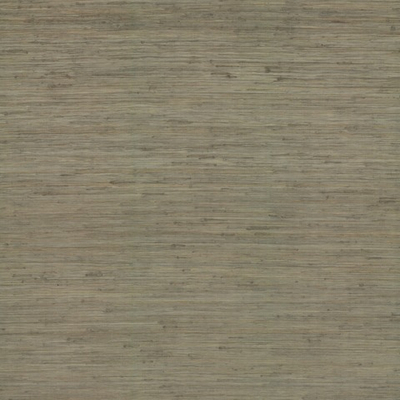 Ronald Redding Traveler