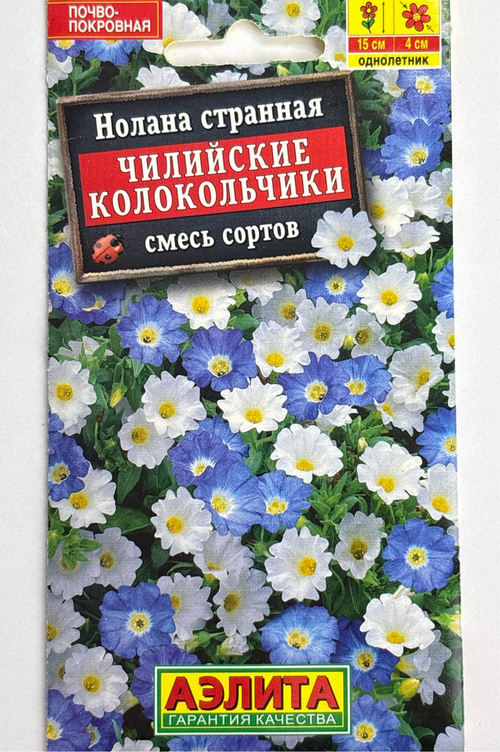 Нолана Чилийские колокольчики, смесь окрасок СМЦ-541