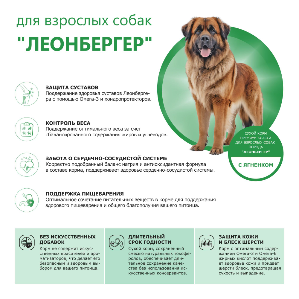 Корм сухой для взрослых собак породы Леонбергер, с ягненком, 12 кг, QUATTRO