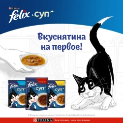 Felix суп влажный корм для взрослых кошек, с говядиной пауч 48 г