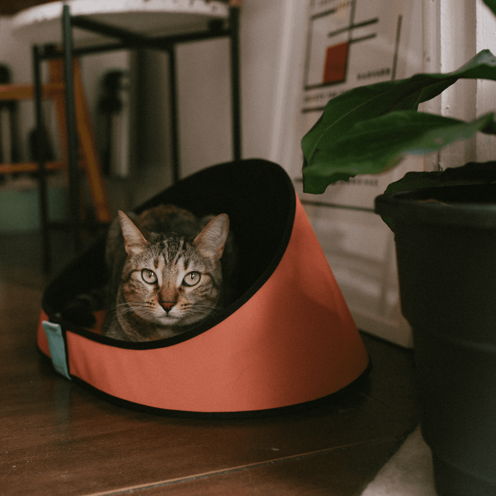 Лежанка TERRACOTA Zee.Cat