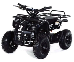 Квадроцикл MOTAX ATV Mini Grizlik X-16 (э/с)