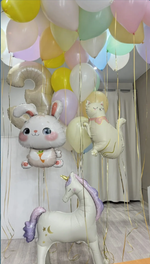 шары для девочек №439