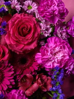 Фестиваль красок *