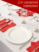 Набор одноразовых пластиковых тарелок с каймой "Серебро" 23 см 20 штук.