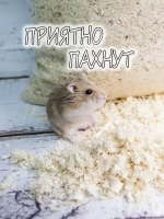 Опилки для хомяков джунгариков