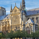 🌸 Нотр-Дам — букет интерьерных роз — 8 марта у Феи