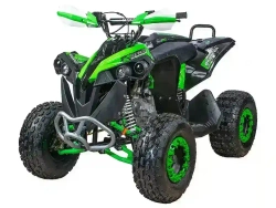 Квадроцикл YACOTA RENEGADE