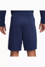 Шорты Nike Dri-Fit League 3