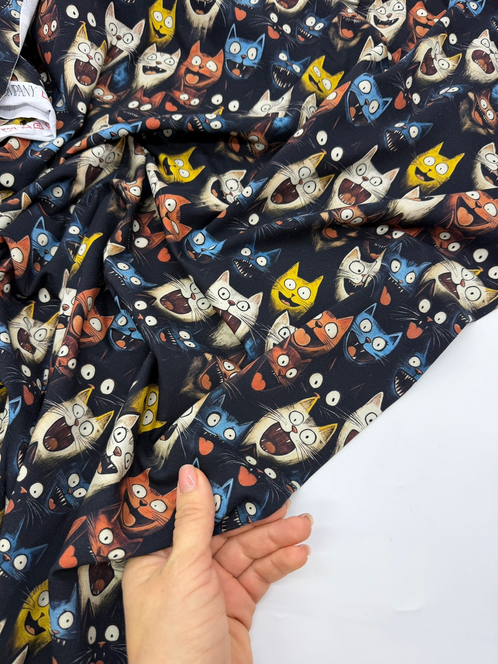 Кошачий хор