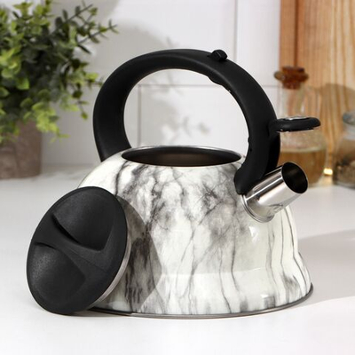 Чайник со свистком из нержавеющей стали Доляна «Каррар», 2,8 л (Цвет: не задано)