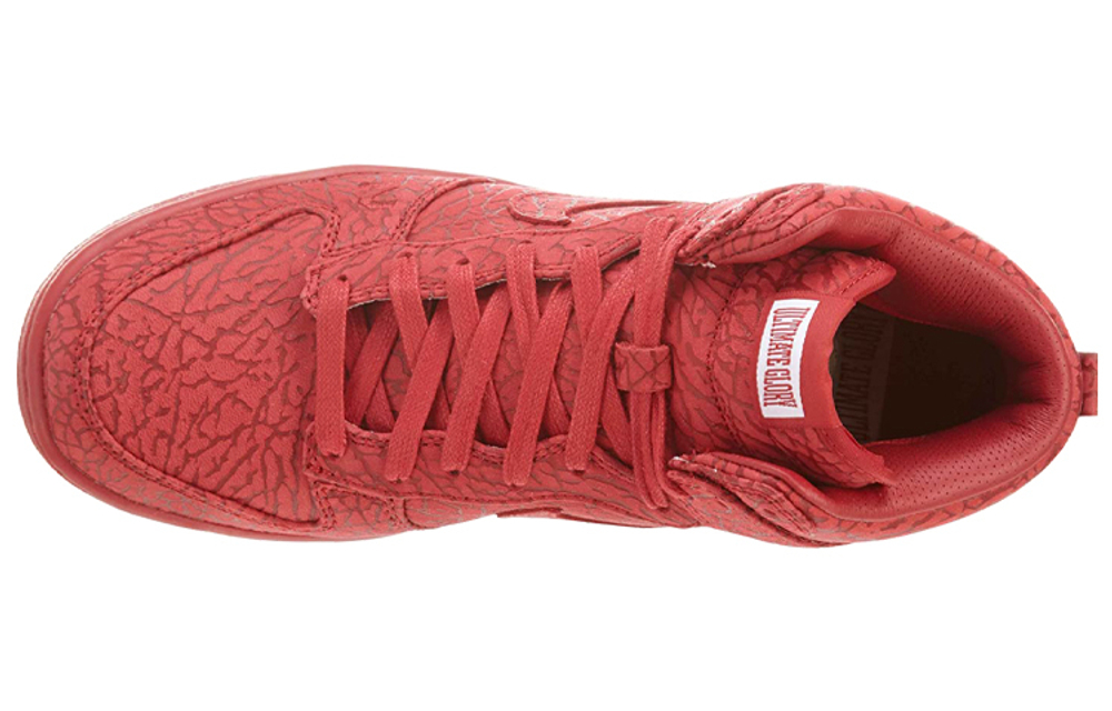 Кроссовки Nike Dunk Premium "Ultimate Glory"