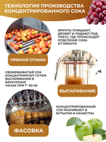 Сок концентрированный грушевый без сахара 5 кг