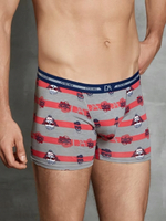 Мужские трусы-боксеры Doreanse Cool Forever (Размер: S) (Цвет: серый)