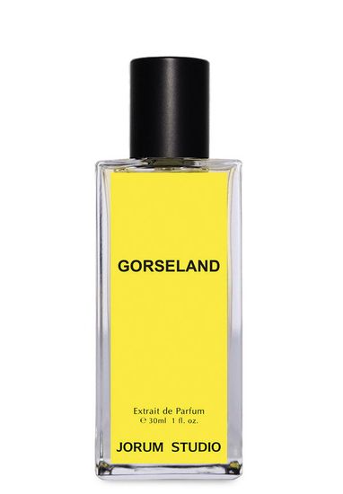 Jorum Studio Gorseland