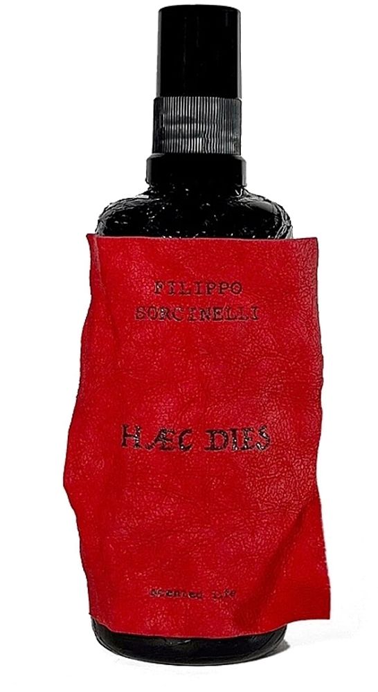 FILIPPO SORCINELLI HAEC DIES HOME SPRAY 100 ML
