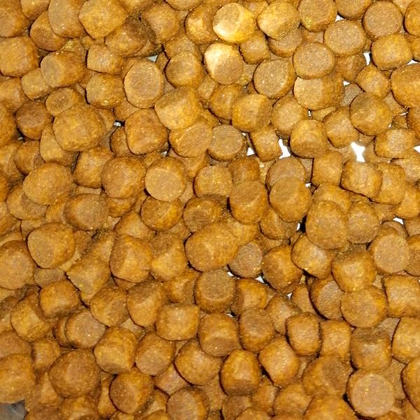 Уценка! Повр.упак./ Сухой корм ProBalance Puppies Small&Medium для щенков мелких и средних пород