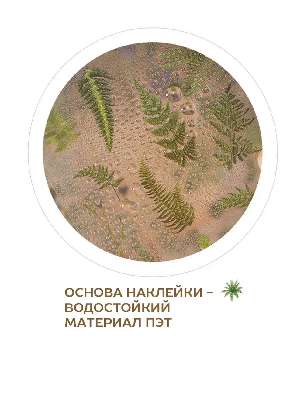 Наклейки флора на прозрачном фоне Роза цветы