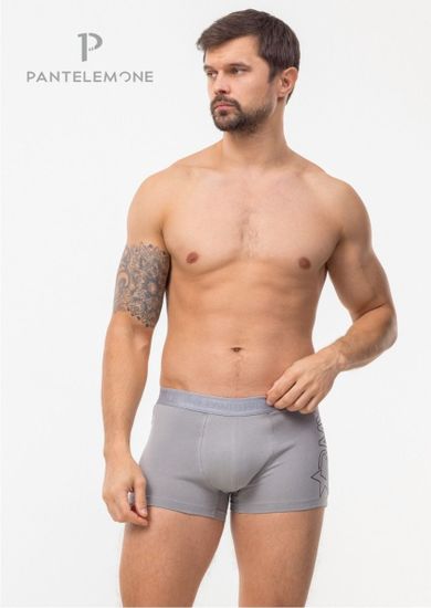 Трусы мужские боксеры Pantelemone PMH-1539, серый