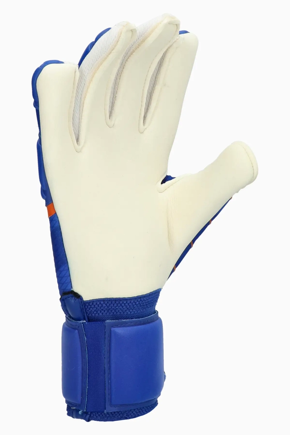 Вратарские перчатки Select 55 Extra Force V24 - синий