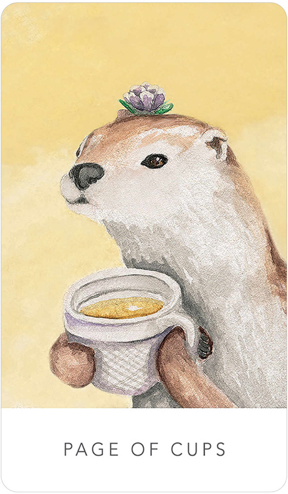 White Sage Tarot in a Tin / Таро Белых Сов в жестяной коробке