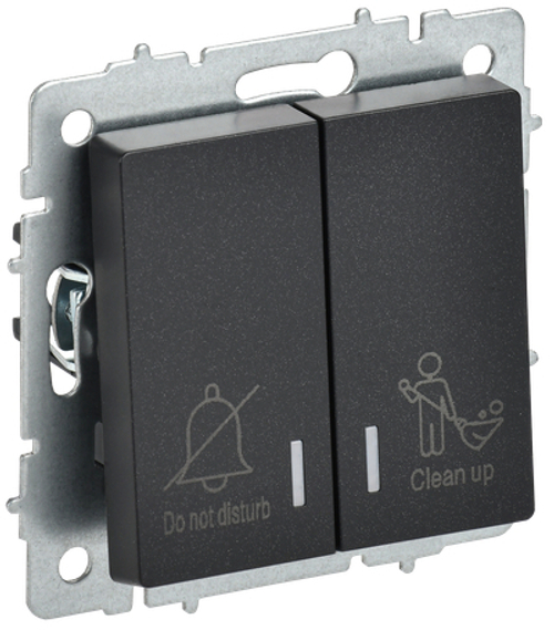 BRITE Выключатель 2-клавишный с индикацией для отелей 10А ВС10-2-9-БрЧ черный IEK