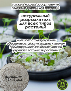 Корневище, Астильба микс сортов, 4 шт